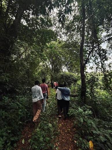 Nasika Trekking at Peechi - Vazhani