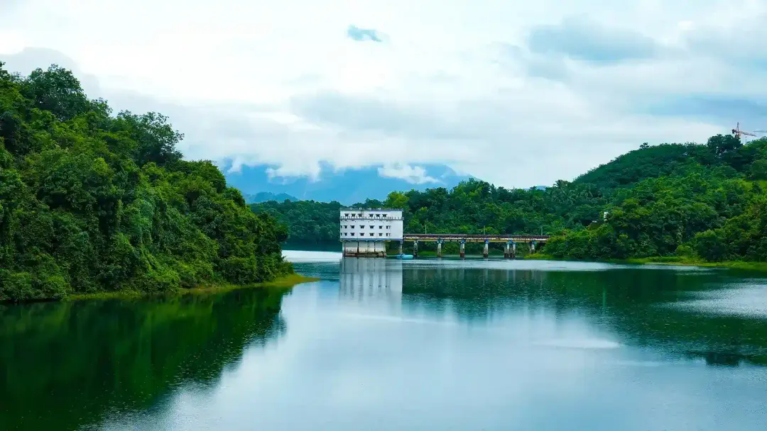 Sightseeing, Butterfly garden, Star forest garden,Honey processing unit at Peruvannamuzhy