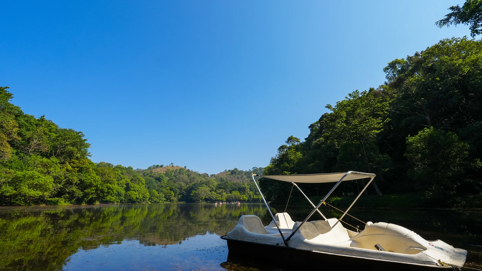 Pookode Lake