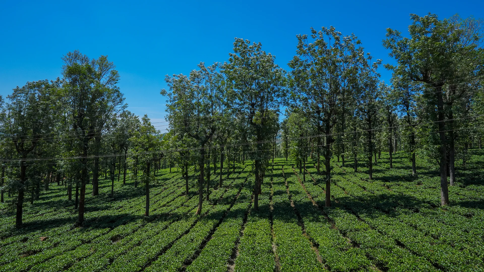 Priyadarshini Hills