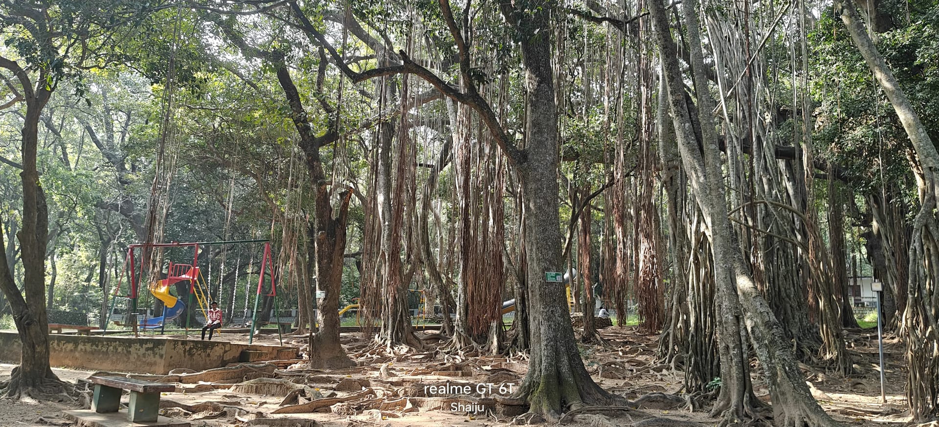 Rajiv Gandhi Nature Park - Park Entry at Rajiv Gandhi Nature Park - Photo 4
