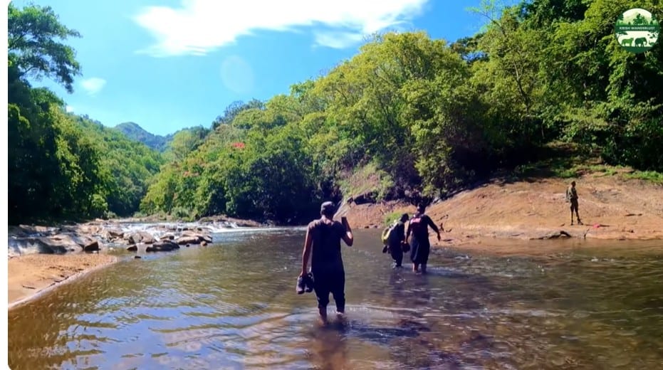 1Hr Trekking (5 Persons) at Shendurney