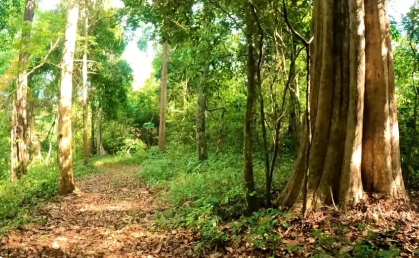 1Hr Trekking (5 Persons) at Shendurney - Photo 2