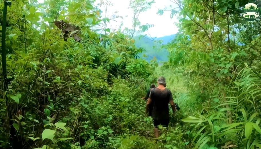 1Hr Trekking (5 Persons) at Shendurney - Photo 3