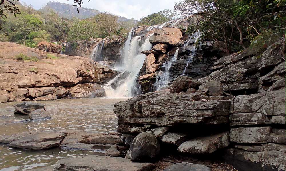 Park entry pack -41 (Mathikettan Shola Trekking) at Shola National Park