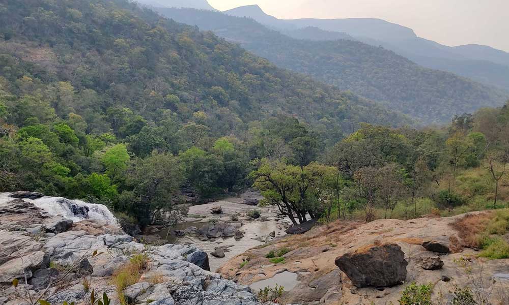 Park entry pack -41 (Mathikettan Shola Trekking) at Shola National Park - Photo 2