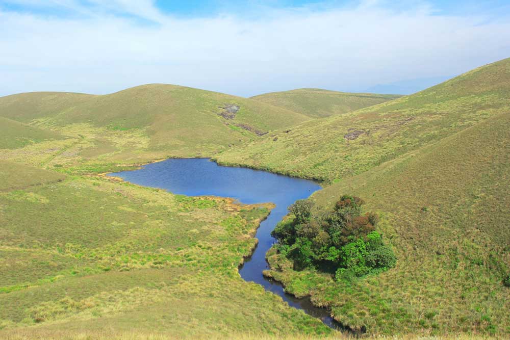 Park entry pack -41 (Mathikettan Shola Trekking) at Shola National Park - Photo 5
