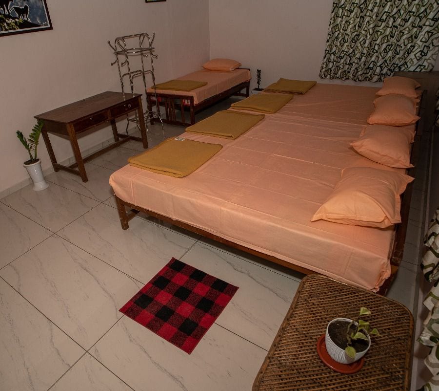Park Entry pack-25 (Wild Stay Melano Room) at Shola National Park - Photo 2