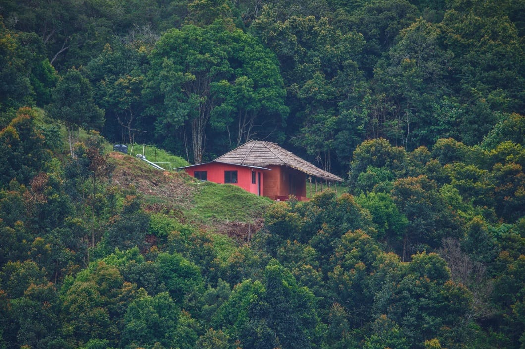 Park Entry pack-22 (Mud House 1) at Shola National Park - Photo 2