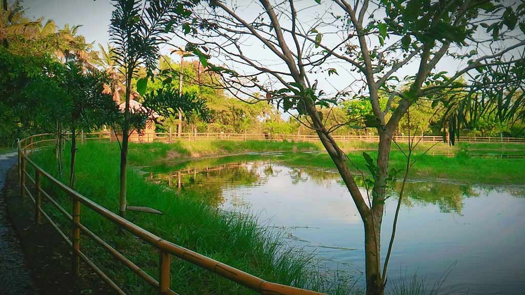 Suvarnodyanam Biological Park-Sight Seeing at Suvarnodyanam Biological Park