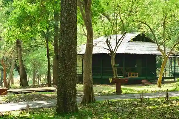 Tented Niche at Parambikulam Tiger Reserve - Photo 2