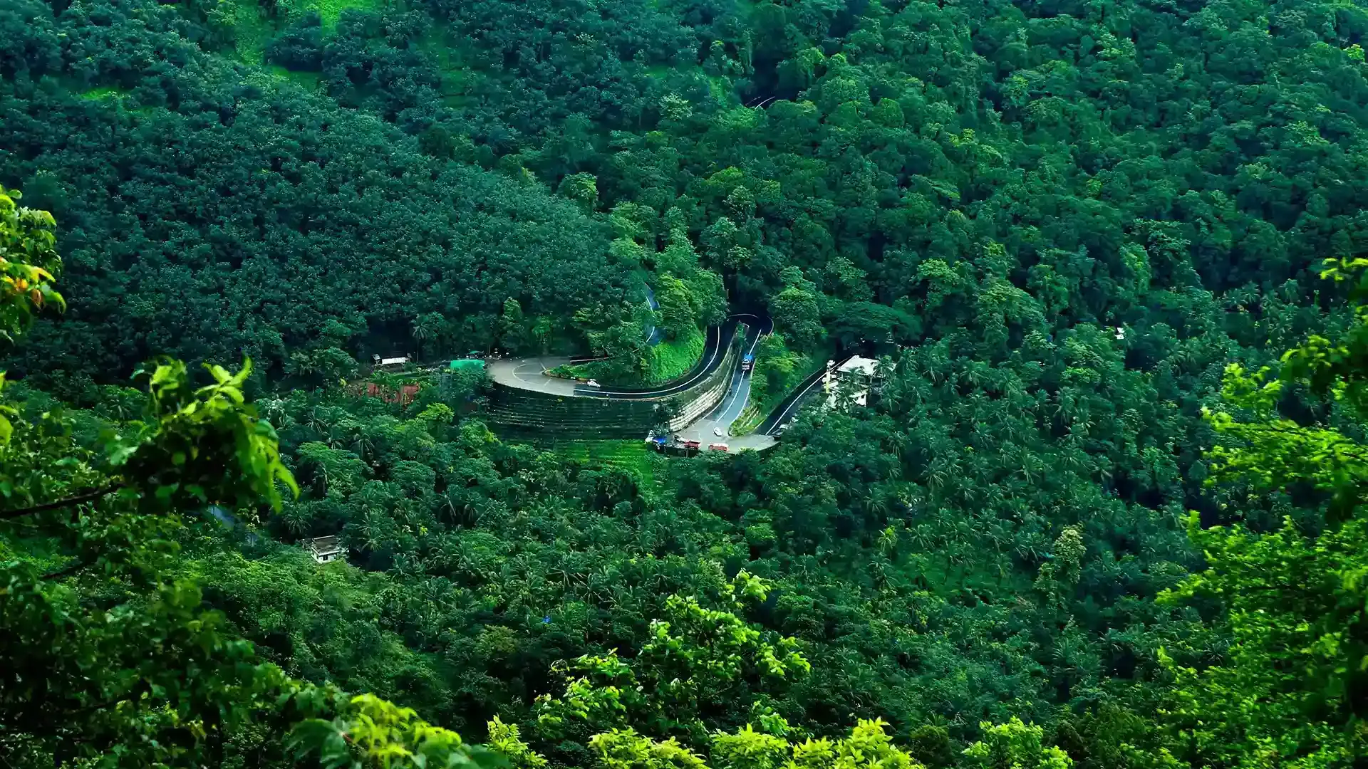Thamarassery Ghat