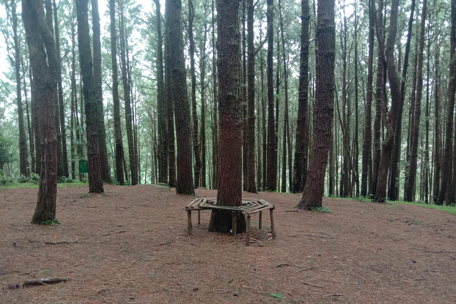 Entrance Fee at Thattathikkanam - Photo 2