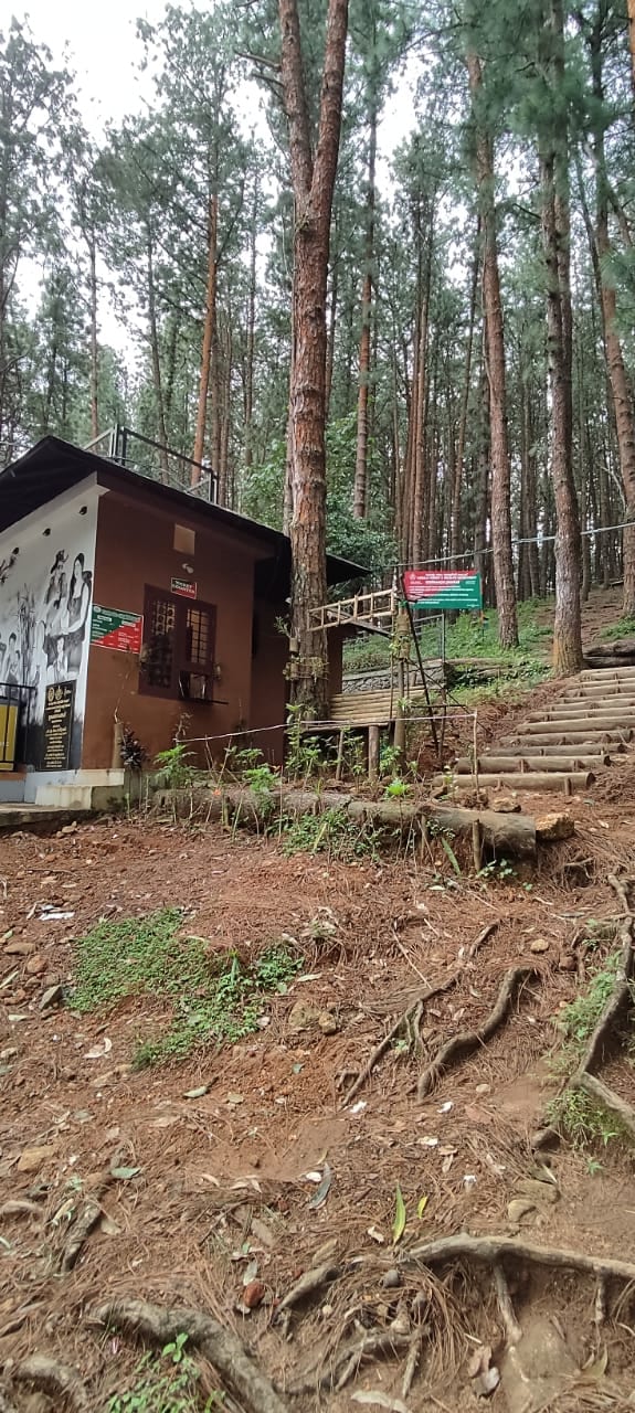 Entrance Fee at Thattathikkanam - Photo 3