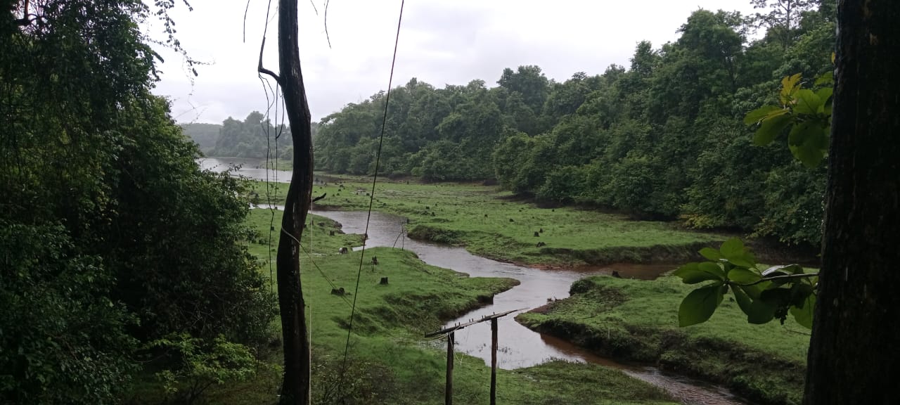 Black Baza Trail 3 Hr at Thattekad Bird Sanctuary - Photo 2