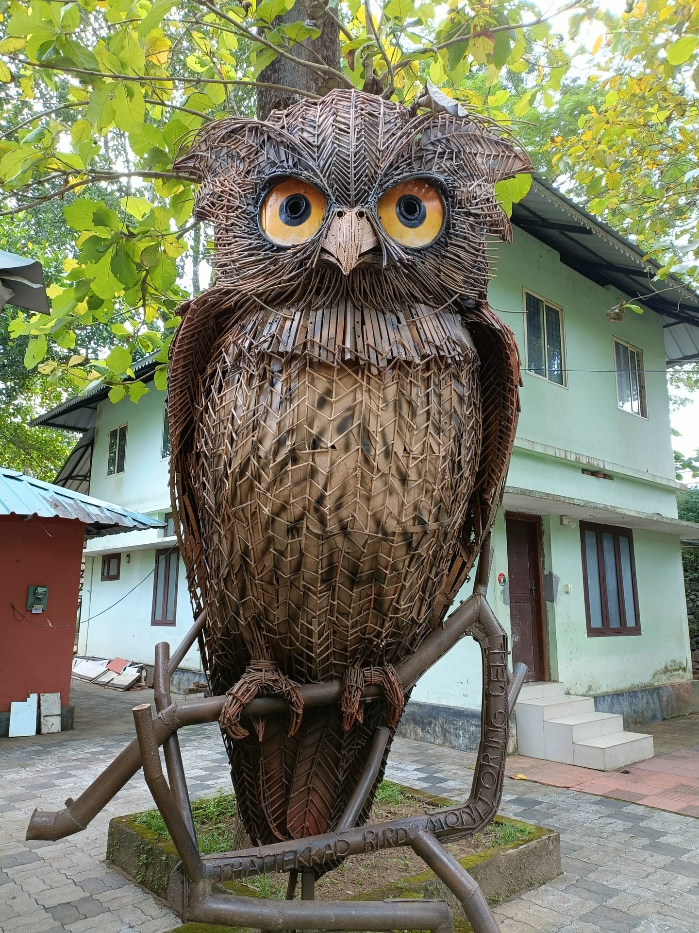 Cylon Frogmouth birding trail at Thattekad Bird Sanctuary