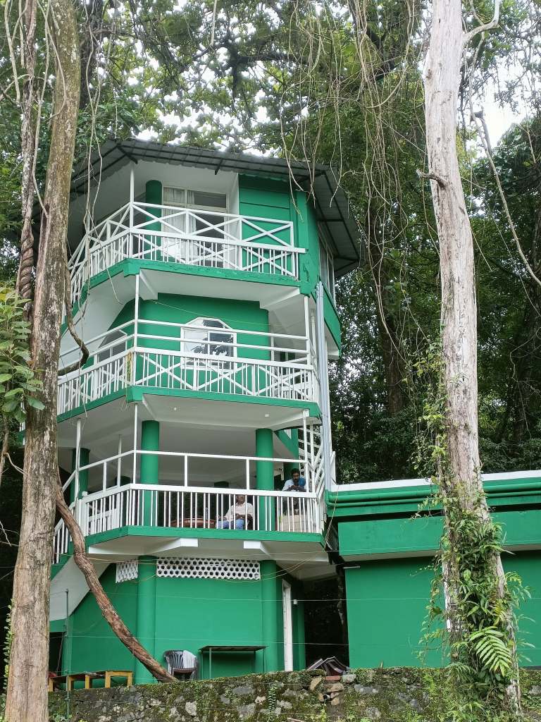 Night Jungle Camp At Frogmouth Watch Tower at Thattekad Bird Sanctuary