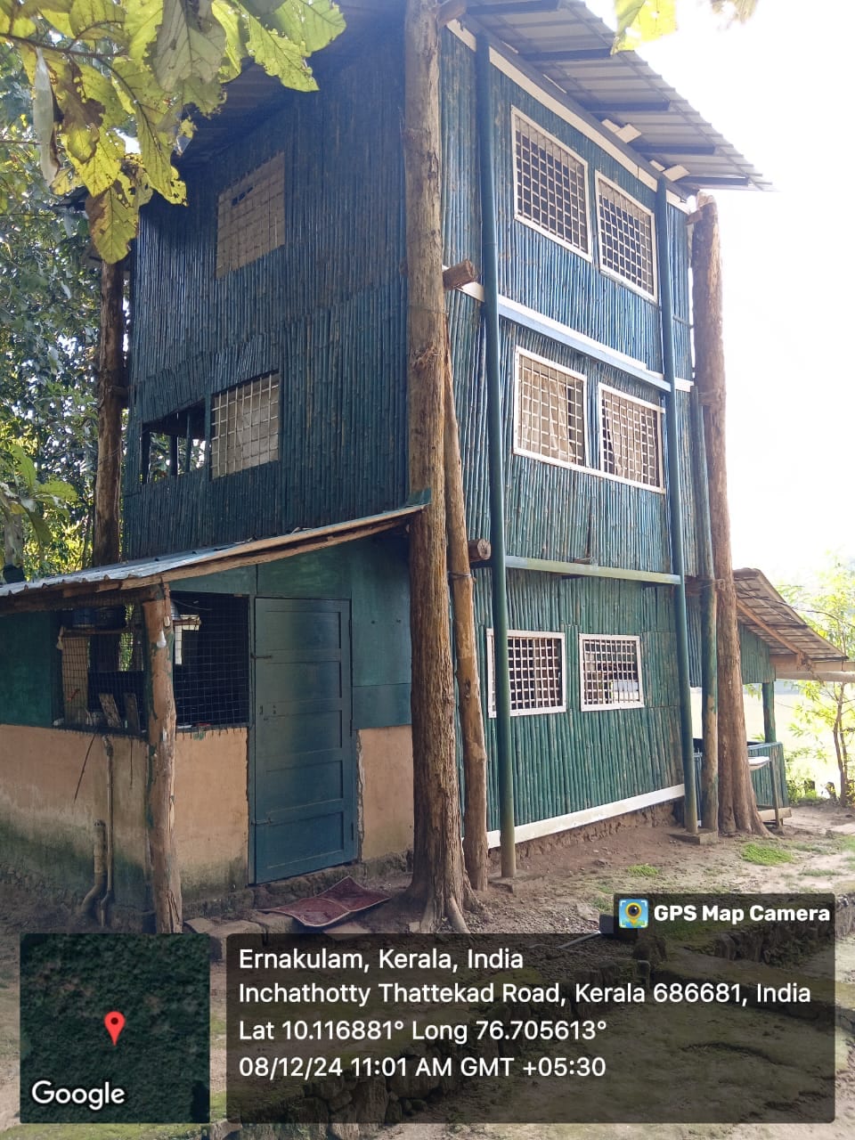 Trogon Nest Tree Hut @ Ovunkal - Thattekad Bird Sanctaury at Thattekad Bird Sanctuary