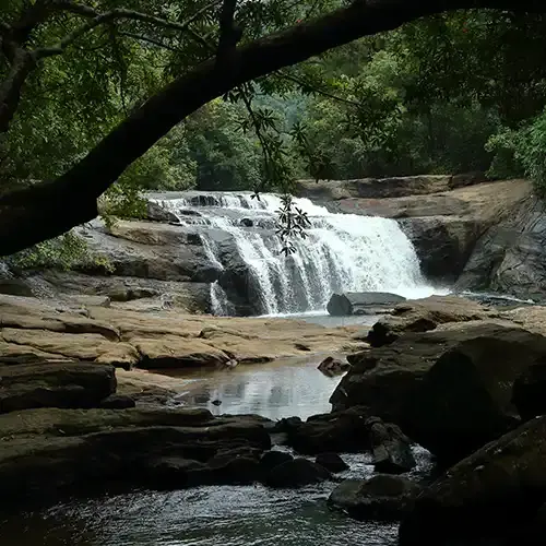 Peripheral Trekking at Thommankuthu