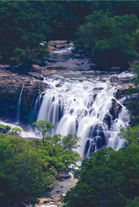 Park Entry Pack -8 (Hiking to Thoovanam Waterfalls) at Chinnar Wildlife Sanctuary