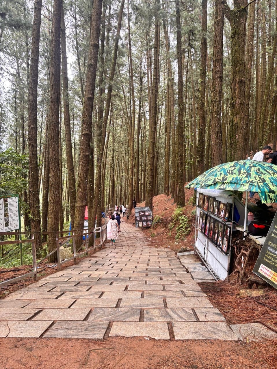 Entrance at Vagamon (Pine Valley) - Photo 2