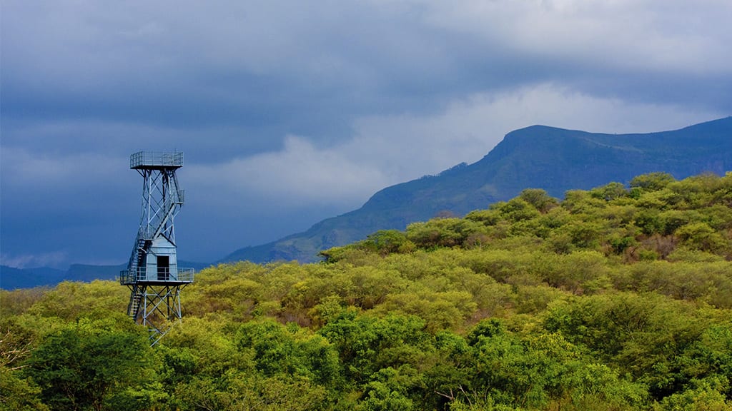 Park Entry Pack-12 (Vasyappara Trekking) at Chinnar Wildlife Sanctuary