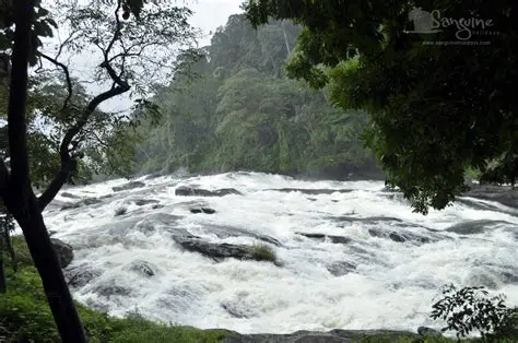 Vazhachal Waterfalls