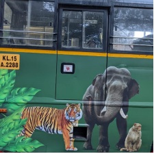 Wayanad Jungle Safari